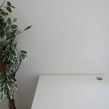 Privatunterkunft L8 Street - K4 2